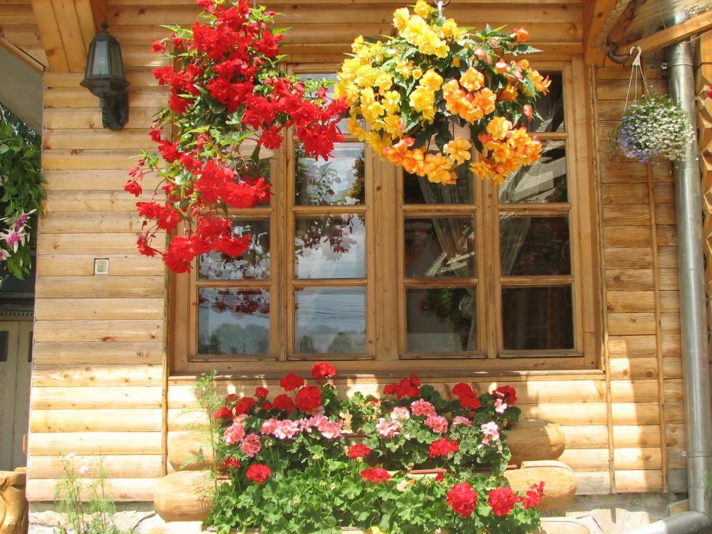 Pension Crizantema Vatra Moldoviţei Extérieur photo